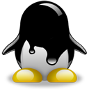 Penguin pingouin pinguino 94